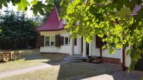 Pluski Dom PROJEKT PLUSKI nad Jeziorem Pluszne